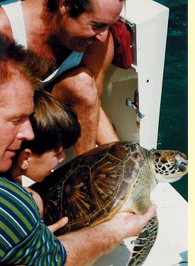 Peter Jan en Richard Bakker laten een zeeschildpad vrij